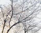 誰かに聞いてもらいたい時チャットでお話お聞きします モヤモヤや不安な時　話したい時　ゆっくりお話聞かせてください イメージ8