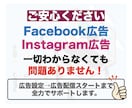 META広告の初期設定をプロ現役運用者が行います ⭐️格安⭐️Facebook広告とインスタグラム広告を設定 イメージ5