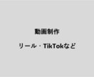 スマホ動画をプロの編集で“映える”リール編集します 初心者でも安心して依頼できる動画編集サービスです。 イメージ1