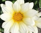 心の悩み聞きます 友達にも言えない悩み相談にのります。 イメージ1