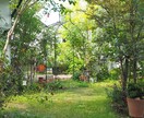 初心者さん向けに植物の育て方について相談承ります 初心者ならではのご質問や、どうしても植物を枯らしてしまう方に イメージ1