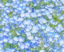 60分チャット悩み・愚痴・相談✨優しく寄り添います 秘密厳守！大丈夫ですか？お話聞きます。一緒に考えましょう☘️ イメージ5