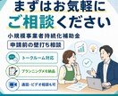 持続化補助金の申請前相談に乗ります 申請前の事業アイデアを一緒に整理します イメージ10