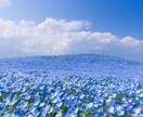 受付終了・2026年の運勢お伝えします 総合運・恋愛運・健康運・仕事運など全体をカードで拝見 イメージ1