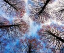 カウンセリング致します 自分の生い立ちや性格に問題がある方向け イメージ1