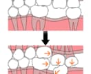 歯科イラスト描きます 歯科医師が専門知識を生かしたイラストを丁寧に描きます。 イメージ5