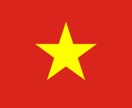 ベトナム語翻訳のニーズにお応えます 正確かつ迅速な翻訳をお届けします！ イメージ1