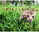 見捨てられちゃうかもしれない気持ちに寄り添います またそんな気持ちになって【誰か】にきいてほしい…。 イメージ1