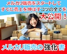 メルカリ完全セット！仕入れ～販売の全てを教えます スマホ1台で副収入！仕入れ・販売・売上アップまでの全ノウハウ イメージ3