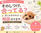そのしつけ合ってる？犬とのモヤモヤ相談のります しつけ迷子さん大歓迎！甘噛み・吠え・引っ張り・トイレなど イメージ1