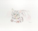 ペットちゃん似顔絵＊ふんわりやさしく描きます あなたのこころの陽だまりのような、そんな想いを大切に イメージ2