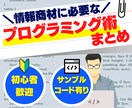 情報商材に必要なプログラミング教えます プログラミングは裏切りません。 イメージ1