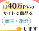 月40万PVのWEBサイトで商品を宣伝・紹介します あなたの商品を紹介し、露出・売上・集客UPへ活用できます！ イメージ1