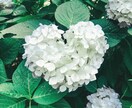 人生相談になります 人生においての悩みをカウンセリングと占いでアシストします！ イメージ1