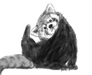 どうぶつのイラスト描きます 二次利用◎かわいいうちの子のグッズ作りませんか? イメージ4