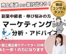 プロコンサル　マーケティング相談おうけします 元一部上場企業マーケッターがプロの目で分析とアドバイス イメージ1