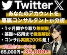 X,Twitterをプロが１ヶ月徹底コンサルします あなたのアカウントに必要な運用戦略やXの解説など／質疑応答◎ イメージ1