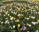 愚痴から雑談までお話しにのります 短時間でも大丈夫です。悩みから何となくでも対応します＾＾ イメージ2