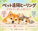 あなたの大切な子に癒しのヒーリングを届けます 地域猫を見守るヒーラーが心を込めてお届けします イメージ1