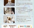 サロン向けチラシ作成します ネイルサロン・美容院・ペットサロンさまお任せください！ イメージ2