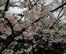 数秘術で占います 数秘術であなた自身気づいてください イメージ1