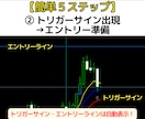 海外で300万回再生の5分足トレード手法教えます FX・MT4用オリジナルインジケーター＋実践マニュアル付き！ イメージ3
