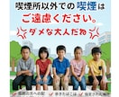 現場目線で魅力を伝えるポスター・チラシ作成します お店の魅力が「一目で伝わる」ポスター・チラシ イメージ6