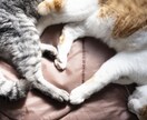 LGBTQ+◎思いや悩みを〝傾聴〟します 当事者で経験10年以上の〈元教員〉があなたに寄り添います イメージ7