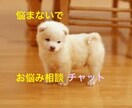 お気軽に！チャットでお話なんでもききます 電話でのお悩み相談が難しいかたに！ イメージ1