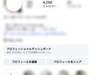 Instagram | sns運用代行をします sns運用代行でフォロワーを獲得したい、売り上げに繋げたい方 イメージ2