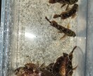釣りを始めてみたい方の質問お受けします 釣具屋勤務による生の情報をお届けします。 イメージ3