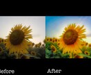 素敵な1枚をもっと素敵に！写真加工致します あなたのお気に入りの写真、一緒に作ってみませんか？ イメージ4