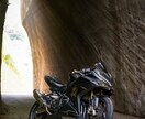 思い出の写真をレタッチ(加工)します 写真をより一層素晴らしい写真にレタッチ(加工)をします イメージ2