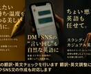 英語の翻訳・英文チェックを行います 翻訳・英文調整に加え、DMやSNS文の作成も対応します イメージ3