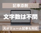 記事添削＋ブログ診断⭐︎アフィリブログ添削します アフィリエイト×SEO×収益化の問題を改善するブログ添削診断 イメージ5
