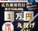 初回限定1万円：SNS広告運用代行いたします 丸投げOK！初期設定〜日々の運用改善まで全部お任せください イメージ1