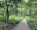 ２０２６年のあなたの運勢を占います 【いつものやつ】２０２６あなたへの手紙〜ココナラ版〜 イメージ1