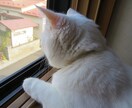 羨ましいをチャンスに変える思考方法を伝授します 羨ましいという感情は、実は理想のあなたに近づくチャンスです イメージ2