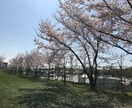 愚痴聞い屋」愚痴、お悩みをお聞きします お悩みを話して心を軽くしましょう イメージ1
