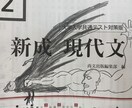 絵を描きます 完全魚人風味、オリジナリティ、著作権フリー、絵を描きます。 イメージ3