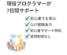 プログラミング初学者の学習相談に7日間対応します 学び始めた、変なエラーが出た、やり方が合ってるか不安な方 イメージ1