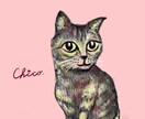 ペットの似顔絵イラスト制作します ペットのお写真から、ふわかわイラスト制作いたします。 イメージ2