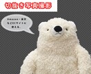 商品撮影  広告に便利な切抜き写真を撮影します あなたのビジネスの成長の伸びをお手伝いします。 イメージ2