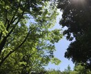ケアマネジャー直伝！幸せ在宅介護相談始めます 在宅介護は大変です。日々の悩み、打ち明けてみませんか？ イメージ2