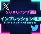 X・旧Twitterのインプレッションを増加します X・旧Twitterのインプレッションを5000増加します イメージ1