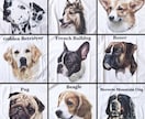 プロの画家がリアルなペットのデッサン肖像画描きます ペットの名入れTシャツやグッズのための原画★デジタル納品★ イメージ10