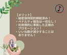 TikTokいいね数増やします いいね増加で投稿を拡散！ツイートのインパクトを強化！ イメージ6
