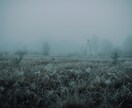 前世鑑定｜魂の記憶を呼び覚まし今世の歪みを解きます Anamnesis／説明のつかない既知感と繰り返す痛みがある イメージ7