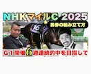 ＮＨＫマイルカップ(G1)馬券の買い方教えます YouTubeピカピカランドセルチャンネル有料サロン イメージ1