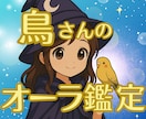 鳥さんの魂と心をオーラ鑑定いたします 小さなサインを見逃さず優しく読み解きます イメージ5